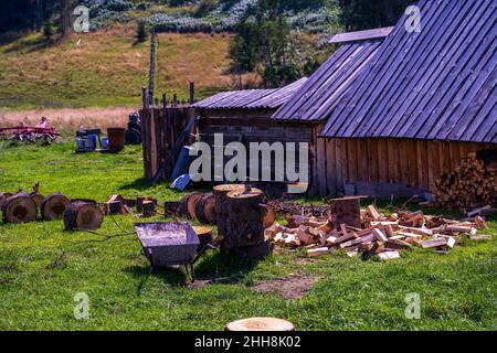 Vieille hache attachée à un tronc d'arbre, cabane alpine à colombages, grange en bois à côté de la forêt de hache, outil utilisé pour le travail en bois dans la campagne Banque D'Images