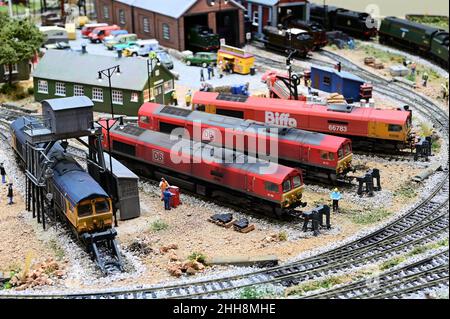 Quatre modèles de locomotives de classe 66 dans un chantier Banque D'Images