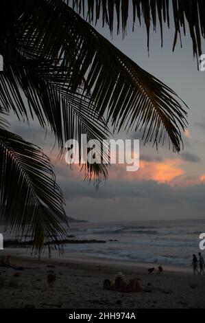 Palmiers et coucher de soleil au Costa Rica Banque D'Images