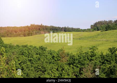 prairie herbacée sur la colline en été. belle nature Banque D'Images