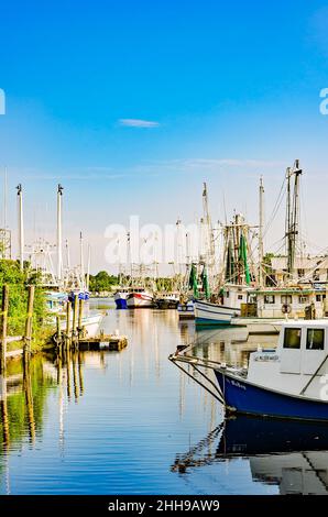 Des bateaux à crevettes sont photographiés, le 15 mai 2016, à Bayou la Batre, Alabama.La ville est connue sous le nom de la capitale des fruits de mer de l'Alabama. Banque D'Images