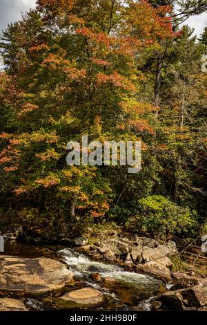 Linville Falls est la chute d'eau la plus célèbre et la plus populaire des Blue Ridge Mountains en raison principalement de sa proximité avec la Blue Ridge Parkway. Banque D'Images