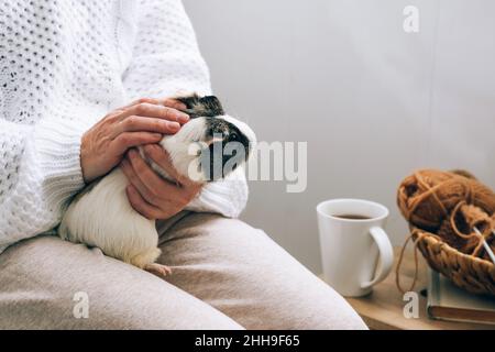 Une femme d'âge moyen tient un cobaye dans les bras.Soins, soins et soins pour animaux de compagnie.Relation homme-animal Banque D'Images