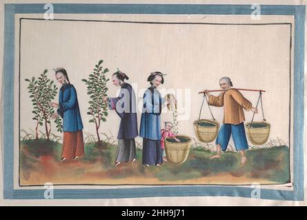 Album contenant douze tableaux de personnes faisant de la soie 19th siècle artiste non identifié.Album contenant douze tableaux de People Making Silk.Artiste non identifié.Chine.19th siècle.Album de douze feuilles; couleur sur papier de fond.Dynastie Qing (1644–1911).Peintures Banque D'Images