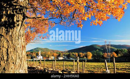 Champ de la Nouvelle-Angleterre en automne Banque D'Images