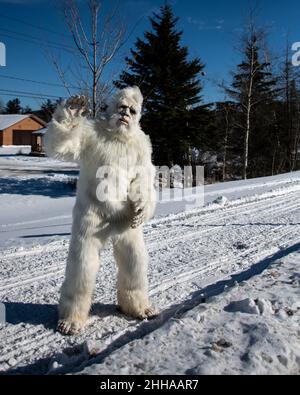 Une personne habillée dans un costume Yeti ou un costume de bonhomme de neige abominable debout sur une piste de motoneige dans le spéculateur, NY dans les montagnes Adirondack Banque D'Images