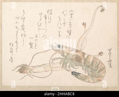 Crevettes et Udo plante uematsu Tōshū japonaise.Usine de crevettes et d'Udo 54986 Banque D'Images