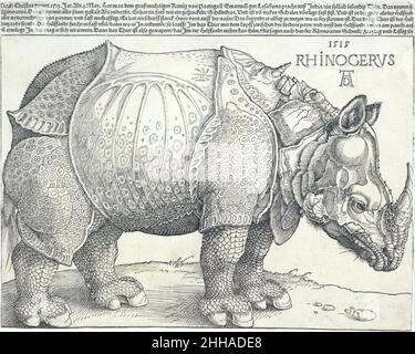 Le Rhinoceros 1515 Albrecht Dürer Allemand.Les Rhinoceros 356497 Banque D'Images