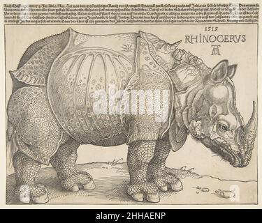 Le Rhinoceros 1515 Albrecht Dürer Allemand.Les Rhinoceros 388482 Banque D'Images