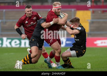 Limerick, Irlande.23rd janvier 2022.Jeremy LOUGHMAN de Munster s'est attaqué à Bytom CRUSE de Wasps et Charlie ATKINSON de Wasps lors de la Heineken Champions Cup, Round 4, Pool B match entre Munster Rugby et Wasps à Thomond Park à Limerick, Irlande, le 23 janvier 2022 (photo par Andrew SURMA/ Credit: SIPA USA/Alamy Live News Banque D'Images