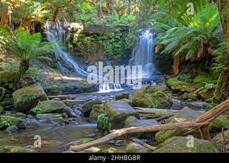 Chutes Horseshoe, parc national de Mt Field Banque D'Images