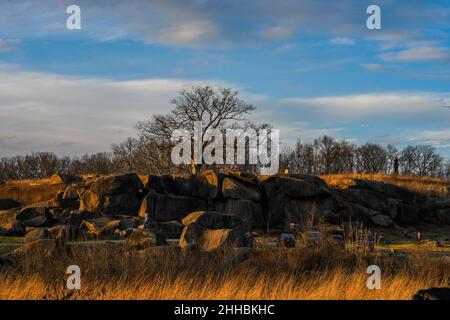 Photo d'un arbre témoin au sommet de Devils Den, Gettysburg National Military, Pennsylvanie, États-Unis Banque D'Images