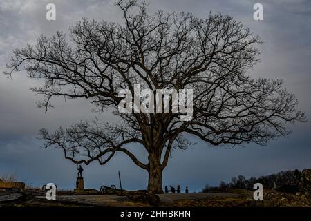 Photo d'un arbre témoin, Devils Den, parc militaire national de Gettysburg, Pennsylvanie, États-Unis Banque D'Images