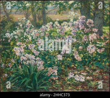 Windflowers 1912 Ruger Donoho américain.Fleurs des vents 10767 Banque D'Images