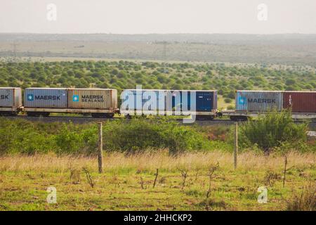 Train de marchandises sur le chemin de fer Mombasa de Nairobi vu du parc national de Nairobi, Kenya Banque D'Images