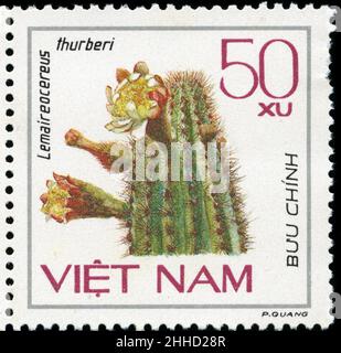 Timbre-poste du Vietnam dans la série Cacti publiée en 1985 Banque D'Images