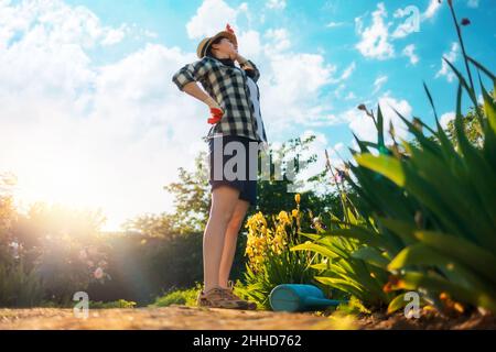 Une femme caucasienne se tient près d'un arbuste à iris en fleurs, la tenant dans la douleur.Un arrosoir repose sur le sol.Vue de dessous.Le concept de back h Banque D'Images