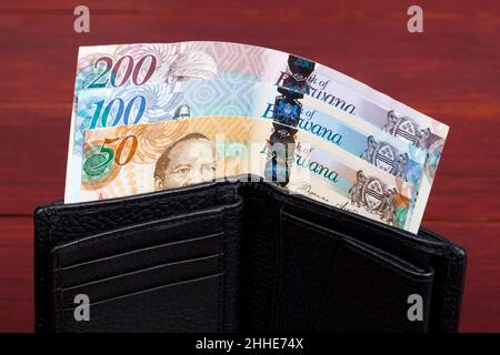 Botswana Money - pula dans le portefeuille noir Banque D'Images