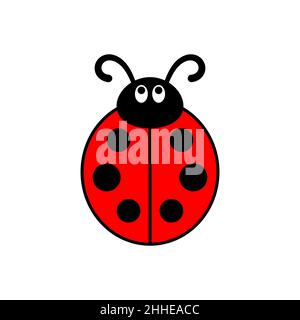 Illustration graphique de vecteur de coccinelle ou de coccinelle, isolée. Joli motif plat simple de coléoptère noir et rouge. Illustration de Vecteur