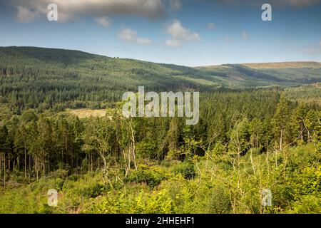 Royaume-Uni, pays de Galles, Merthyr Tydfil, Brecon Mountain Railway, Torpantau,Vue sur la forêt de Taf Fechan jusqu'au parc national de Brecon Beacons Banque D'Images