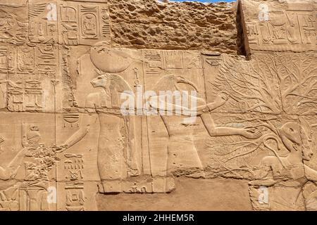 Colonnes massives à l'intérieur d'un magnifique monument égyptien avec hiéroglyphes, et symboles anciens dans le temple de Karnak, Louxor, Égypte Banque D'Images