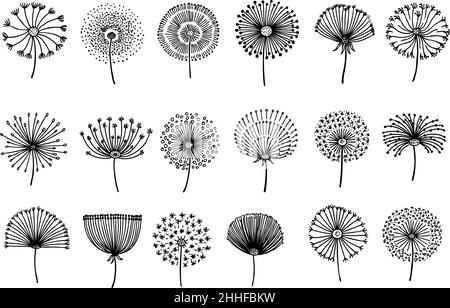 Pissenlit.Pissenlits graphiques abstraits, doodle de graines de fleurs vintage.Éléments botaniques, icônes florales molletonnées dessinées à la main.Silhouettes en fleurs noires Illustration de Vecteur