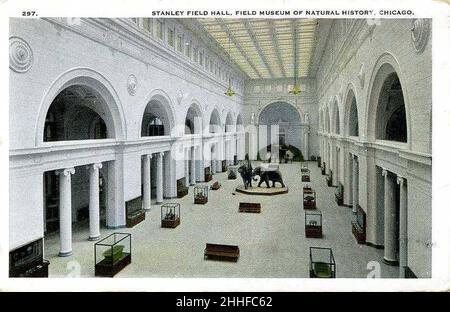 Stanley Field Hall, Field Museum of Natural History, Chicago Banque D'Images