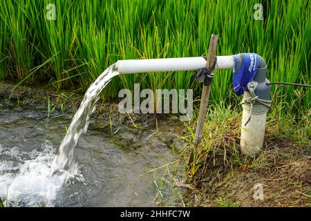 Irrigation des champs de riz à l'aide de puits à pompe avec la technique de pompage de l'eau du sol pour s'écouler dans les champs de riz.La station de pompage. Banque D'Images