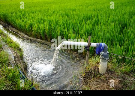 Irrigation des champs de riz à l'aide de puits à pompe avec la technique de pompage de l'eau du sol pour s'écouler dans les champs de riz.La station de pompage. Banque D'Images