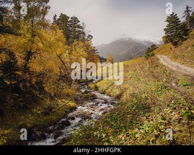 Canyon de la rivière dans les montagnes d'automne.Photo de haute qualité de la saison d'automne.Mise au point sélective.Rendez-vous dans le nord du Caucase, à Arkhyz, en Russie, sur la route des lacs de Dukkinsky Banque D'Images