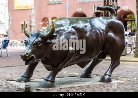 Amsterdam, pays-Bas - 7 juillet 2014 : statue de taureau en bronze dans le centre d'Amsterdam, en Europe.Sculpté par Arturo Di Modica et similaire à son Banque D'Images