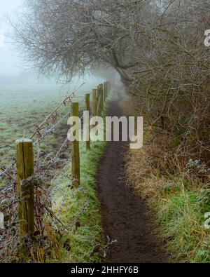 Sentier de campagne dans le gel et la brume avec clôture sur la gauche et arbres suspendus sur la droite, diminuant dans la distance, Hampshire, Royaume-Uni Banque D'Images