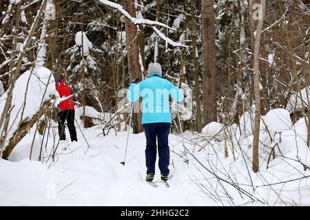 Les gens skier en forêt d'hiver.Femme skieuse marchant dans la neige à pinery Banque D'Images
