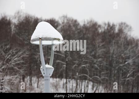 Lampe LED recouverte de neige sur fond d'arbres d'hiver.Éclairage électrique dans le parc, lanterne de rue à économie d'énergie Banque D'Images