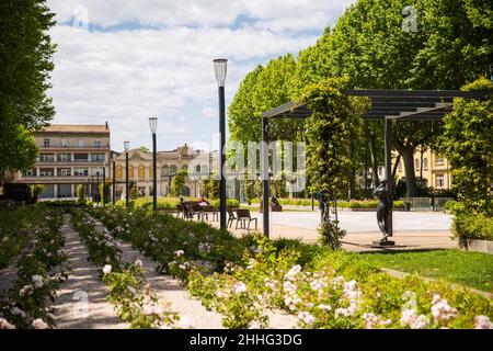 Place Gambetta à Carcassonne, en France, le soleil du printemps Banque D'Images