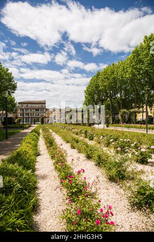 Place Gambetta à Carcassonne, en France, le soleil du printemps Banque D'Images