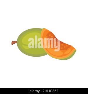 Fruit pour un style de vie sain en été.Tranches de cantaloup et fruits entiers Illustration vectorielle plate isolée sur blanc. Illustration de Vecteur