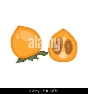 Sur fond blanc, illustration vectorielle d'un persimmon.Fruit tropical juteux et exotique. Illustration de Vecteur