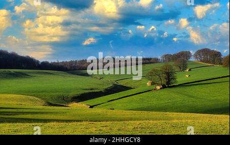 L'heure d'or, lors d'un magnifique après-midi d'hiver, présente les contours des Dales du Derbyshire.Prise dans la région de South Peak entre Baslow et Bakewell. Banque D'Images