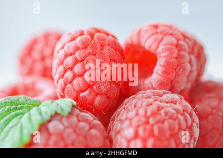 Gros plan sur les framboises fraîches. Banque D'Images