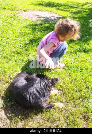 Adorable petite fille jouant avec un chien noir dans le parc d'été. Banque D'Images