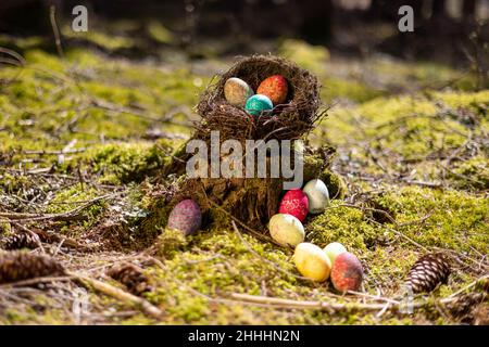 Verlorene Ostereier im Wald Banque D'Images