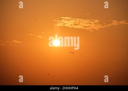 Ciel lumineux et coloré au coucher du soleil avec rayons du soleil et troupeau d'oiseaux volant contre le soleil couchant. Banque D'Images