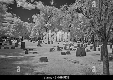 Un très vieux cimetière dans un 1776 cour de l'église de réforme anglaise.Cette photo infrarouge, abstraite, noire et blanche est effrayante et un bon look pour Halloween. Banque D'Images