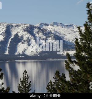 tahoe et arbre Banque D'Images