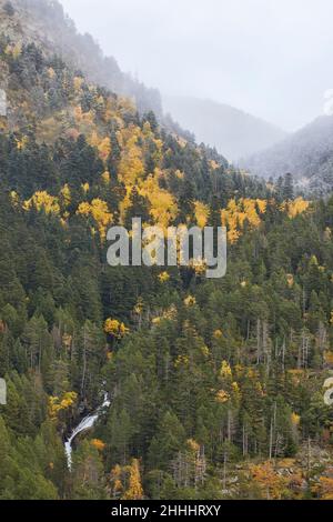 Parque Natural Posets Maladeta (Pirineo de Huesca) Espagne Banque D'Images