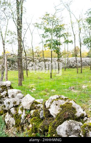 Il reste principalement des murs d'une ancienne colline, ville d'une tribu préhistorique qui habitait cette région il y a environ 3 à 4 mille ans. Banque D'Images