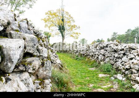 Il reste principalement des murs d'une ancienne colline, ville d'une tribu préhistorique qui habitait cette région il y a environ 3 à 4 mille ans. Banque D'Images