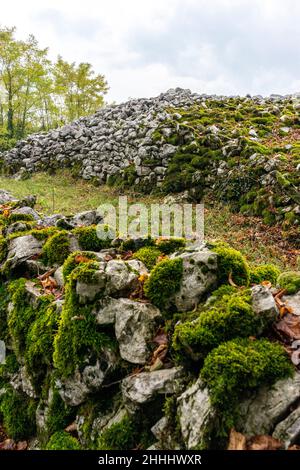 Il reste principalement des murs d'une ancienne colline, ville d'une tribu préhistorique qui habitait cette région il y a environ 3 à 4 mille ans. Banque D'Images