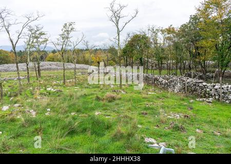 Il reste principalement des murs d'une ancienne colline, ville d'une tribu préhistorique qui habitait cette région il y a environ 3 à 4 mille ans. Banque D'Images